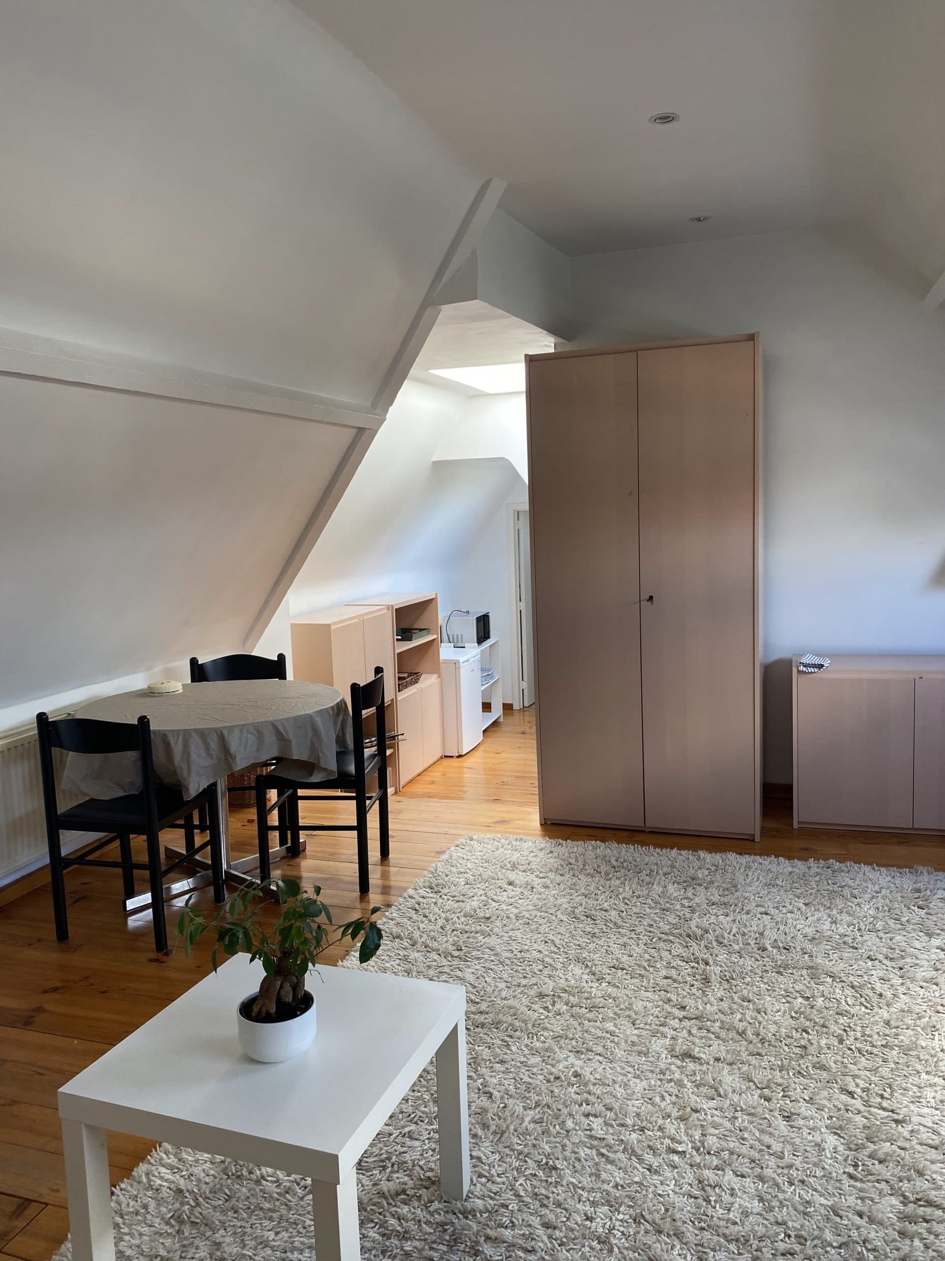 Sint Pieters 3 - Furnished studio for rent in Ghent
