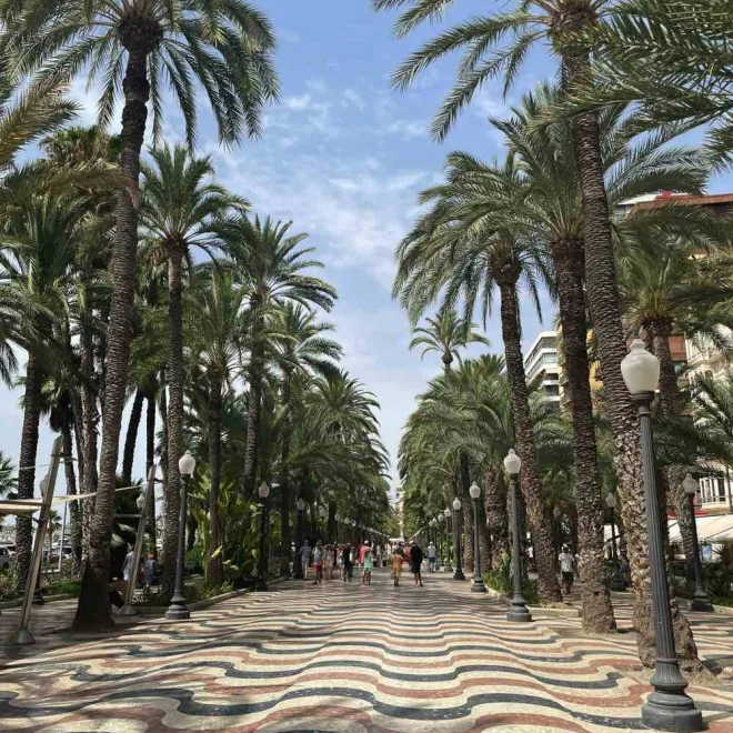 Alicante - Elche