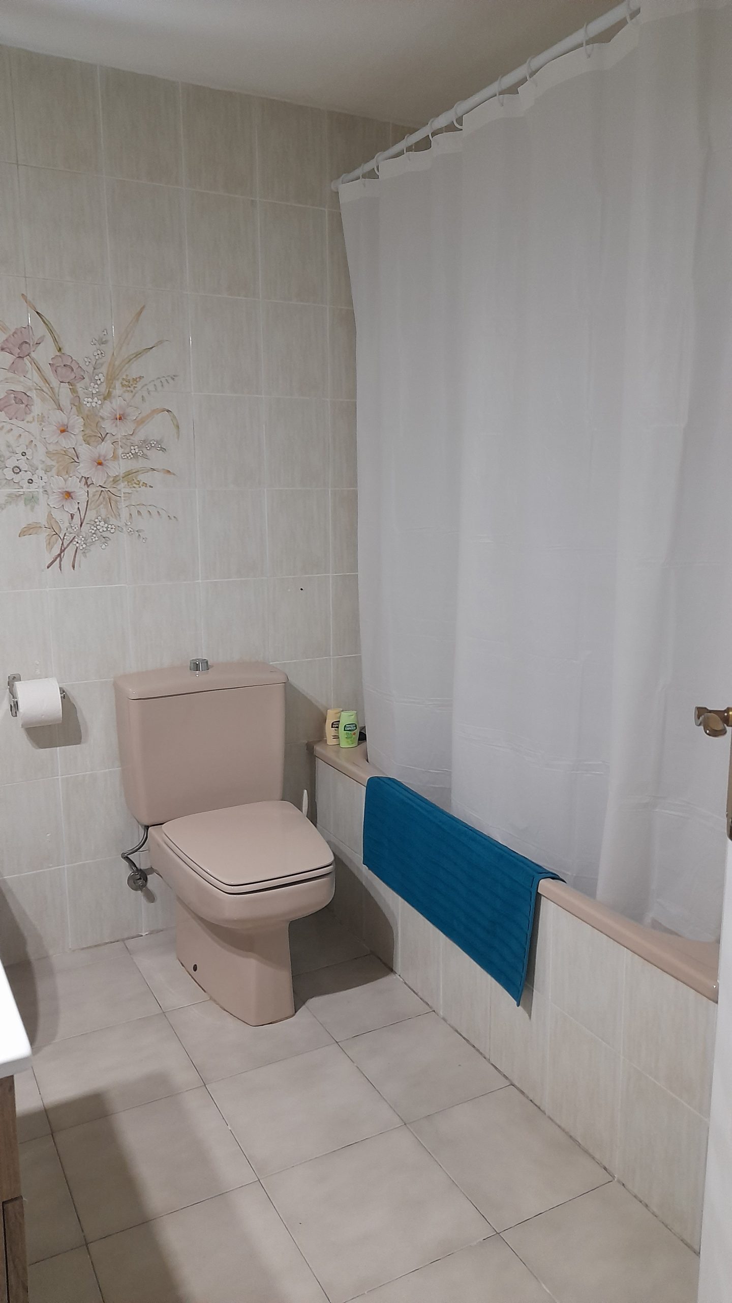 apartment for rent in Castellon - bathroom