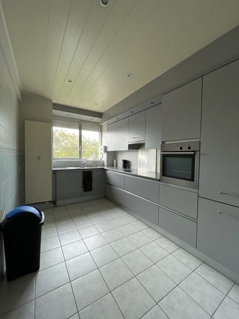Boudewijn apartment for rent in Antwerp kitchen