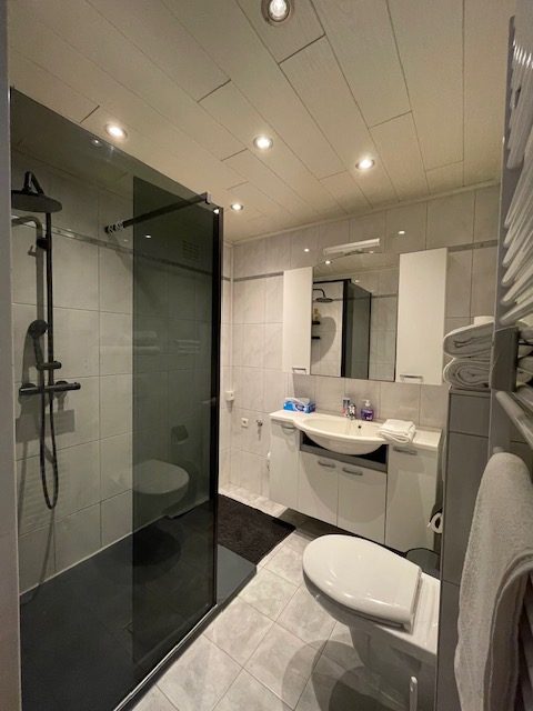 Boudewijn apartment for rent in Antwerp bathroom 2