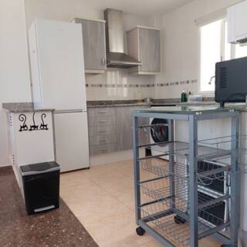apartment-for-rent-in-gatova-kitchen